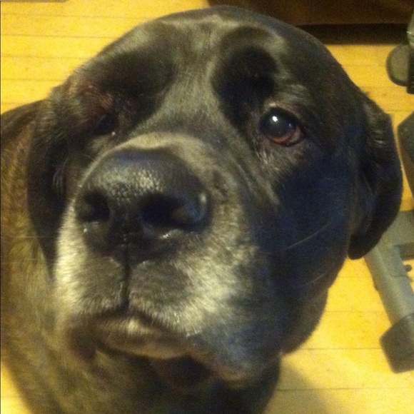 Meet your Posher, Jan - Picture 3 of 7